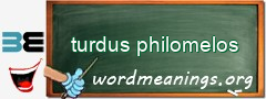 WordMeaning blackboard for turdus philomelos